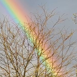 Meet your Posher, Yolanda